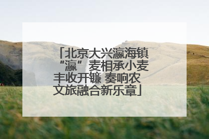 北京大兴瀛海镇“瀛”麦相承小麦丰收开镰 奏响农文旅融合新乐章