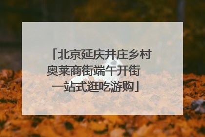 北京延庆井庄乡村奥莱商街端午开街 一站式逛吃游购
