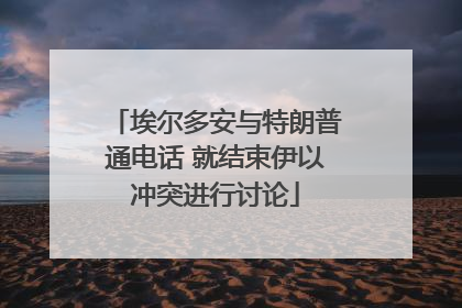 埃尔多安与特朗普通电话 就结束伊以冲突进行讨论