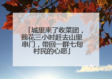 城里来了收菜团，我花三小时赶去山里串门，带回一群七旬村民的心愿