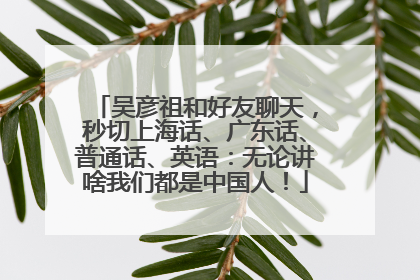 吴彦祖和好友聊天，秒切上海话、广东话、普通话、英语：无论讲啥我们都是中国人！