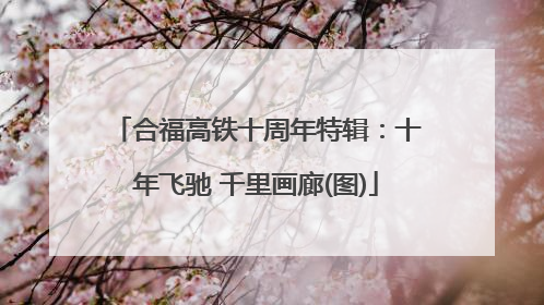 合福高铁十周年特辑：十年飞驰 千里画廊(图)