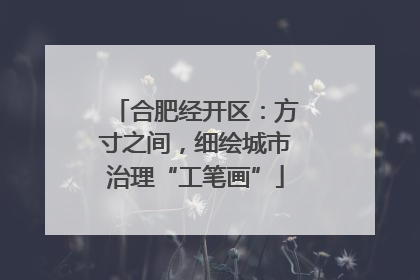 合肥经开区：方寸之间，细绘城市治理“工笔画”