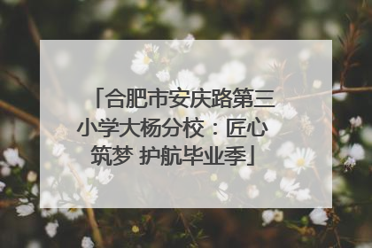 合肥市安庆路第三小学大杨分校：匠心筑梦 护航毕业季