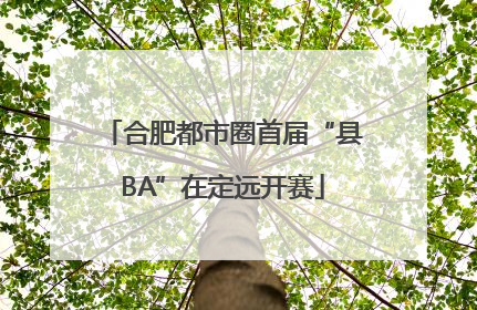 合肥都市圈首届“县BA”在定远开赛