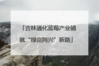 吉林通化蓝莓产业铺就“绿富同兴”新路