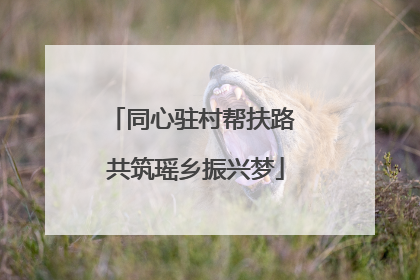 同心驻村帮扶路 共筑瑶乡振兴梦