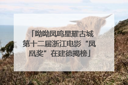 呦呦凤鸣星耀古城 第十二届浙江电影“凤凰奖”在建德揭榜