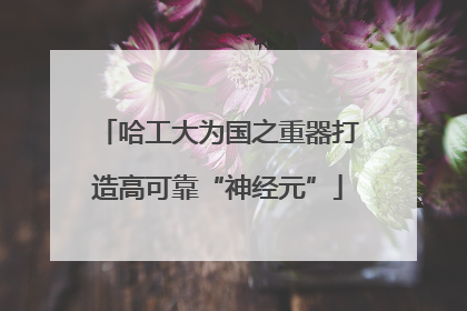 哈工大为国之重器打造高可靠“神经元”