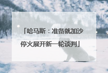 哈马斯：准备就加沙停火展开新一轮谈判