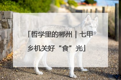哲学里的郴州｜七甲乡机关好“食”光