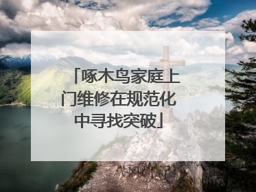 啄木鸟家庭上门维修在规范化中寻找突破