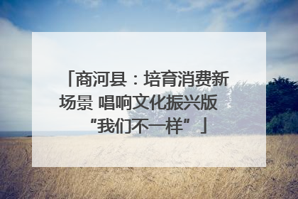 商河县：培育消费新场景 唱响文化振兴版“我们不一样”