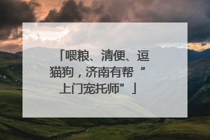 喂粮、清便、逗猫狗，济南有帮“上门宠托师”