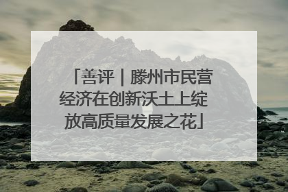 善评｜滕州市民营经济在创新沃土上绽放高质量发展之花