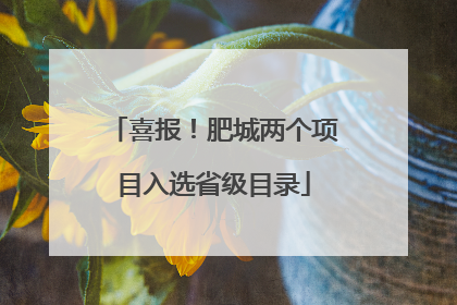 喜报！肥城两个项目入选省级目录