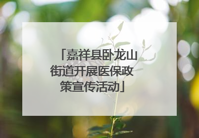 嘉祥县卧龙山街道开展医保政策宣传活动