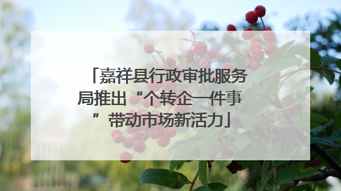 嘉祥县行政审批服务局推出“个转企一件事”带动市场新活力