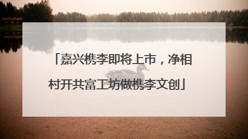 嘉兴槜李即将上市，净相村开共富工坊做槜李文创