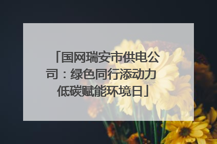 国网瑞安市供电公司：绿色同行添动力 低碳赋能环境日