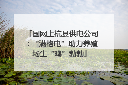 国网上杭县供电公司：“满格电”助力养殖场生“鸡”勃勃