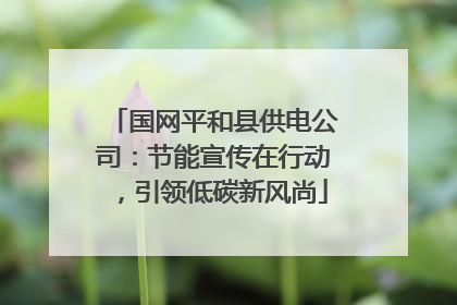国网平和县供电公司：节能宣传在行动，引领低碳新风尚