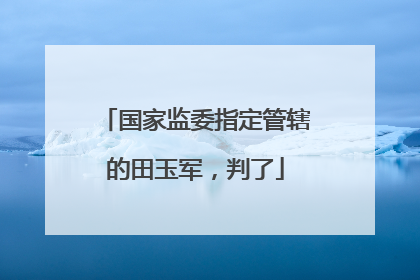 国家监委指定管辖的田玉军，判了