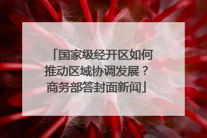 国家级经开区如何推动区域协调发展？商务部答封面新闻