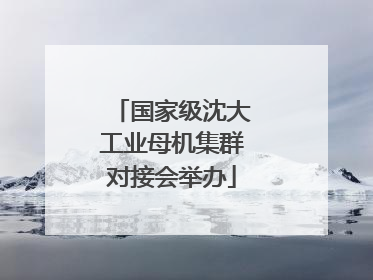 国家级沈大工业母机集群对接会举办