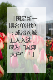 国足新一期名单出炉：成都蓉城五人入选，成为“国脚大户”！