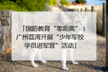 国防教育“零距离”！广州荔湾开展“少年军校学员进军营”活动
