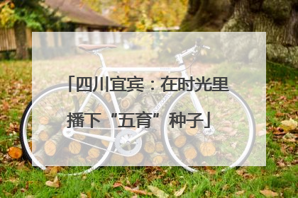 四川宜宾：在时光里播下“五育”种子