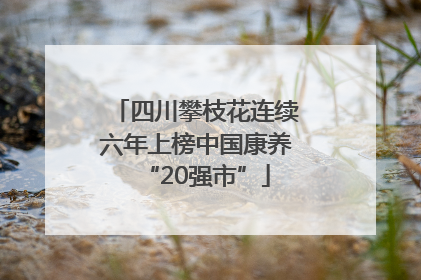四川攀枝花连续六年上榜中国康养“20强市”