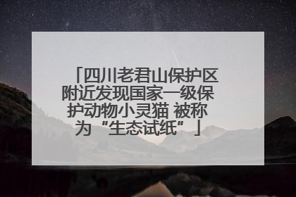 四川老君山保护区附近发现国家一级保护动物小灵猫 被称为“生态试纸”