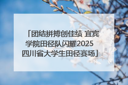 团结拼搏创佳绩 宜宾学院田径队闪耀2025四川省大学生田径赛场