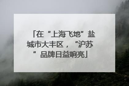在“上海飞地”盐城市大丰区，“沪苏”品牌日益响亮