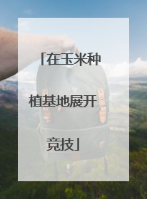 在玉米种植基地展开竞技