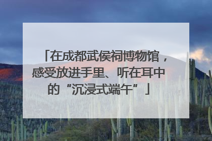 在成都武侯祠博物馆，感受放进手里、听在耳中的“沉浸式端午”