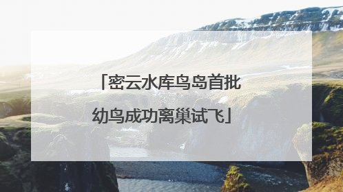 密云水库鸟岛首批幼鸟成功离巢试飞