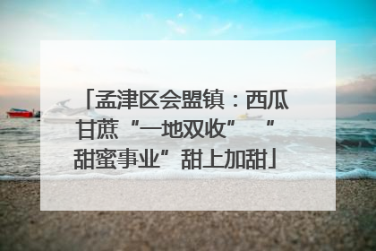 孟津区会盟镇：西瓜甘蔗“一地双收” “甜蜜事业”甜上加甜