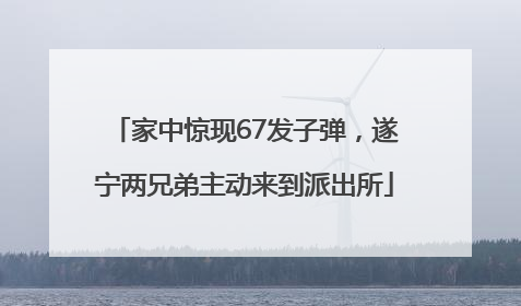 家中惊现67发子弹，遂宁两兄弟主动来到派出所