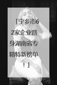 宁乡市62家企业跻身湖南省专精特新榜单！