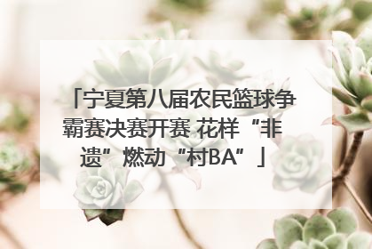 宁夏第八届农民篮球争霸赛决赛开赛 花样“非遗”燃动“村BA”
