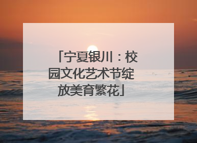 宁夏银川：校园文化艺术节绽放美育繁花