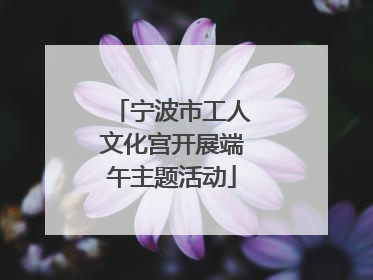 宁波市工人文化宫开展端午主题活动