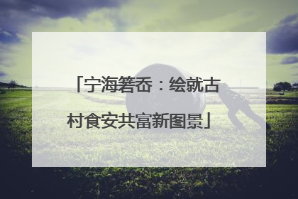宁海箬岙：绘就古村食安共富新图景