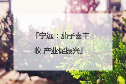 宁远：茄子喜丰收 产业促振兴