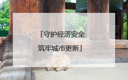 守护经济安全 筑牢城市更新