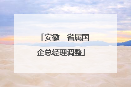 安徽一省属国企总经理调整