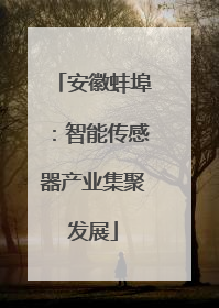 安徽蚌埠：智能传感器产业集聚发展